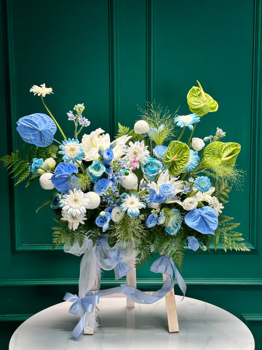 Kệ 23 tinh khôi - Tông xanh dương