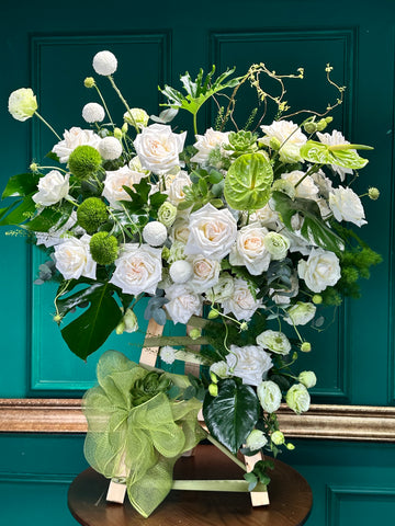 Kệ 26 an nhiên - Tông xanh lá