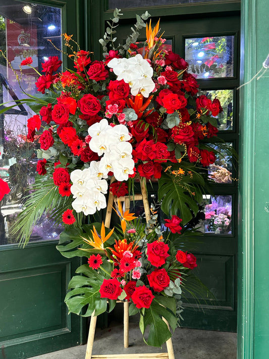 Kệ 13 rực rỡ - Tông đỏ điểm Hồ Điệp trắng