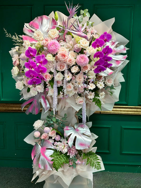 Kệ 21 tinh hoa - Tông trắng điểm Hồ Điệp tím