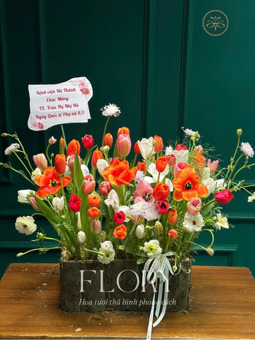 Lẵng 43 khu vườn mùa hạ - Tông cam tulip